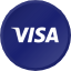 Visa Inc.