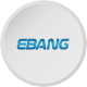 Ebang International Holdings Inc.