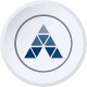 Advantage Solutions Inc.