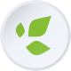 BranchOut Food Inc.
