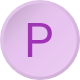PAL GROUP HLDGS CO LTD