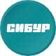 СибурХ1Р08