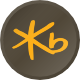 KB Financial Group Inc