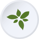 Advanced Flower Capital Inc.