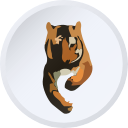 TIGER BRANDS LTD ORD