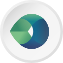 Camtek Ltd.